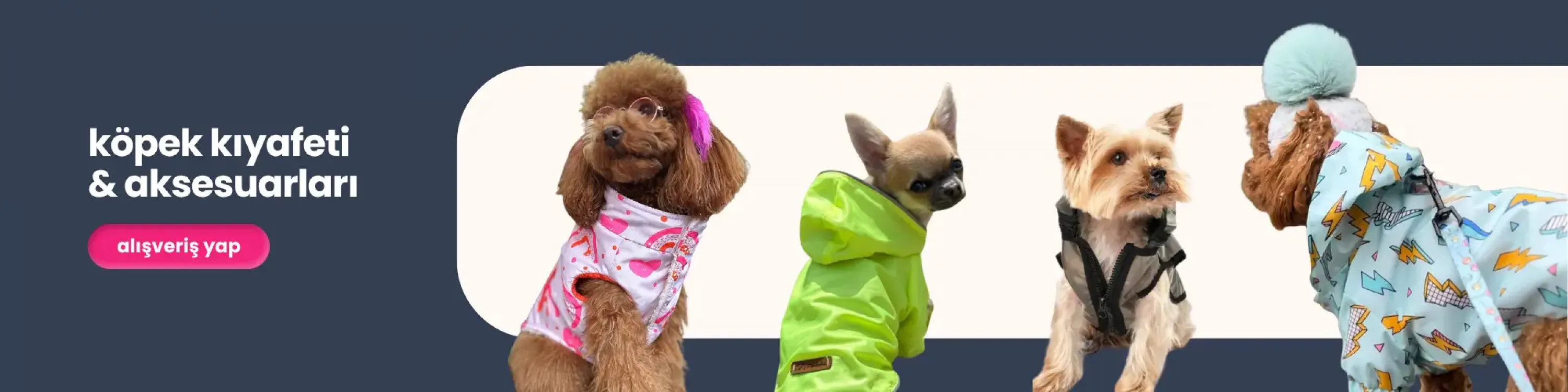 köpek kıyafeti, rengarenk sweatshirtler, köpek aksesuarları