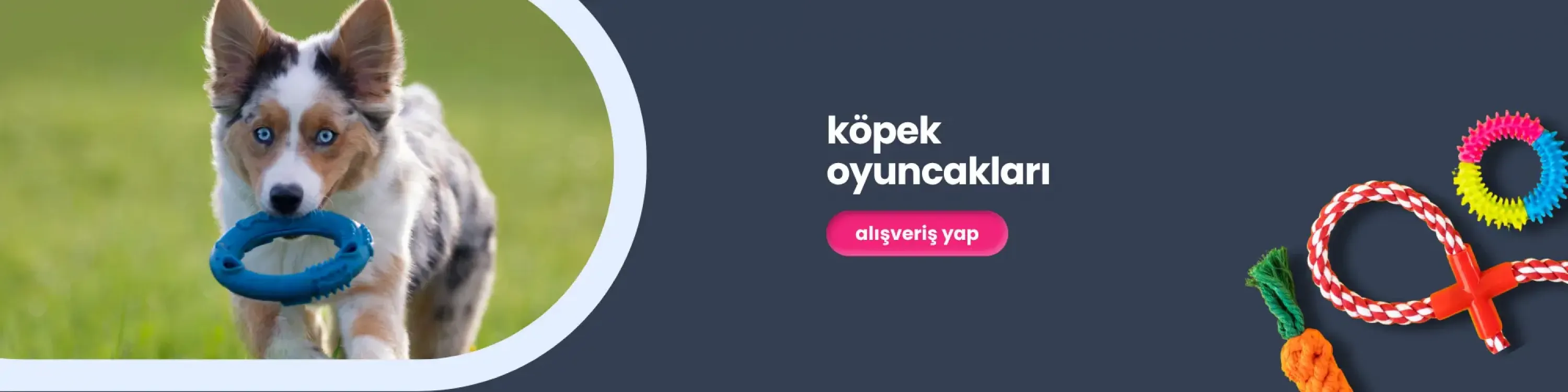 köpek oyuncakları, köpek topu, köpek at getir oyuncak