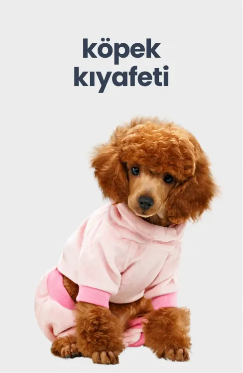 köpek kıyafeti, köpek modası, en şık köpek kıyafetleri burada