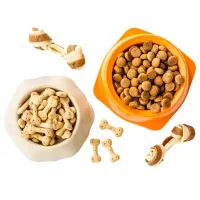 beyaz ve turuncu köpek mama kabı içerisinde köpek maması ve köpek ödülleri