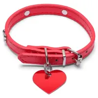 kalpli, kırmızı köpek boyun tasması