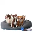 3 yavru köpeğin birlikte üzerinde yattığı, gri köpek yatağı ve yanlarında at-getir oyuncakları