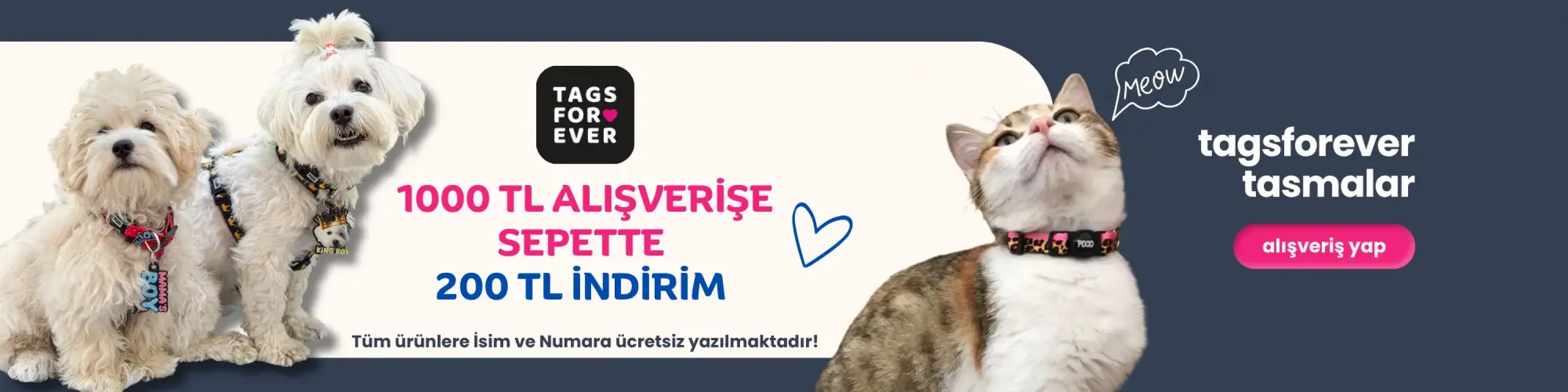köpek tasması, tagsforever tasma, tags forever, tags forever kedi, tags forever köpek, tags forever tasma