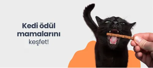en iyi kedi ödülleri, ödül mamaları, ödül maması ürünleri, kedi ödül maması