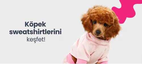 köpek sweatshirt, köpek kazak