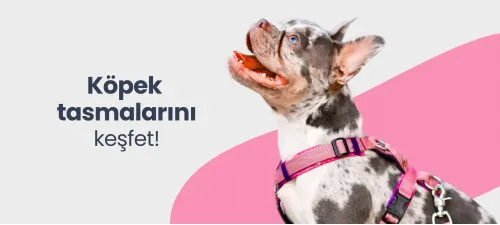 köpek göğüs tasması, köpek boyun tasması, köpek gezdirme kayışı, otomatik gezdirme tasması