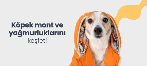 köpek yağmurluğu, köpek montu