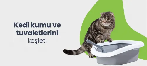 en iyi kedi kumları, kedi kumu, kedi tuvaleti
