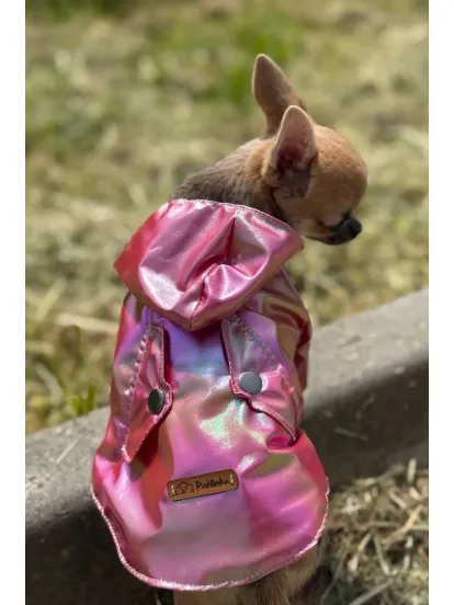 Patilinka Kırmızı Kapüşonlu Kedi Köpek Yağmurluğu