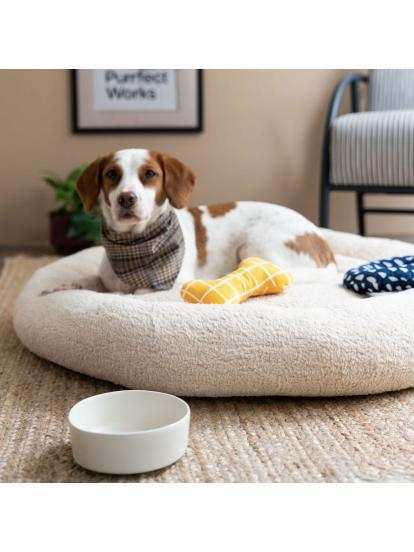 Purrfect Works CircleBed Vanilla Cream Ortopedik Kedi ve Köpek Yatağı