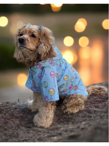 Lolidogs Köpek Yağmurluğu (Loli)