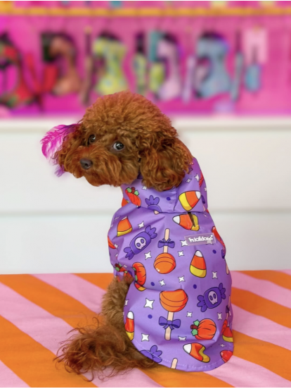 Lolidogs Köpek Yağmurluğu (Spell)