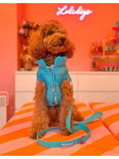 Lolidogs Puffer Köpek Montu (Mavi)