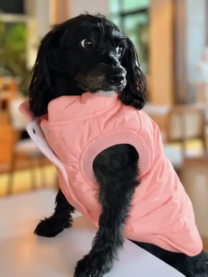 Lolidogs Puffer Köpek Montu (Somon)