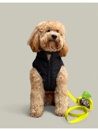 Lolidogs Puffer Köpek Montu (Siyah)